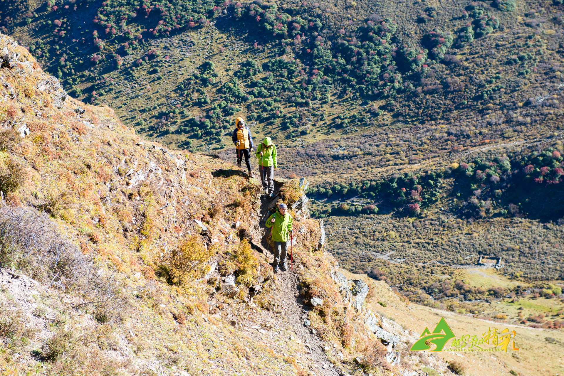 平局或者小 平局或者小